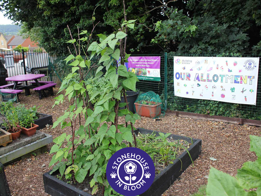 SIB STC Britain in Bloom 6