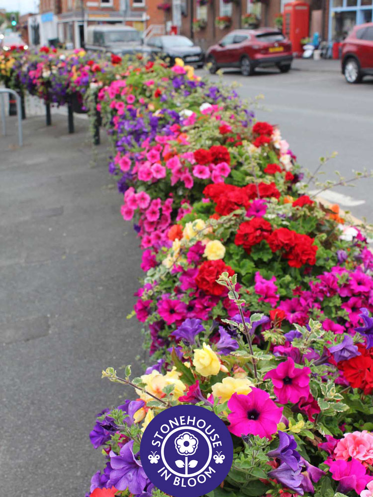 SIB STC Britain in Bloom 8