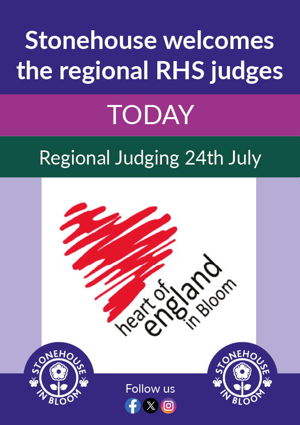 SIB Regional Welcome Day 2026